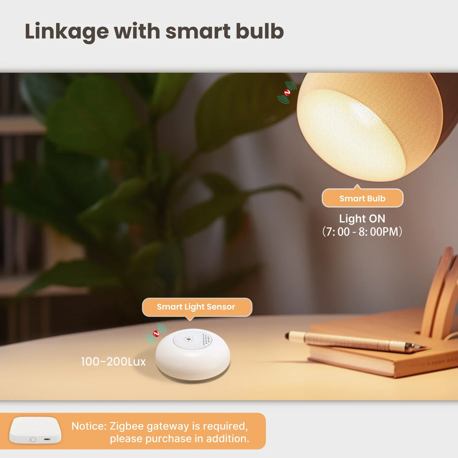MOES Tuya Zigbee Smart Light S - đánh giá và giá Smart Home Villa