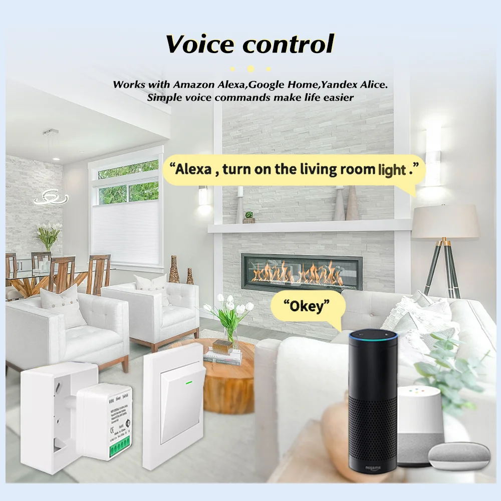 For Tuya Mini Smart WiFi Switc - đánh giá và giá Smart Home Diy